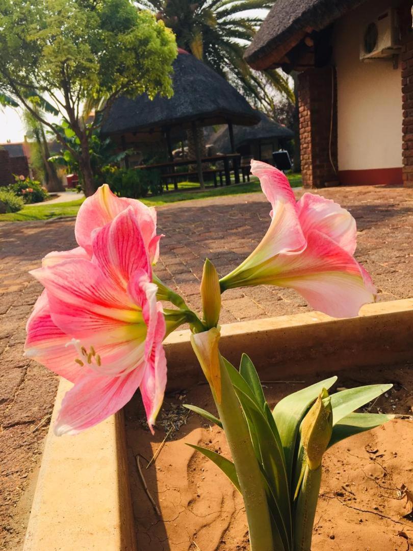 Cest Si Bon Hotel Otjiwarongo Exterior photo